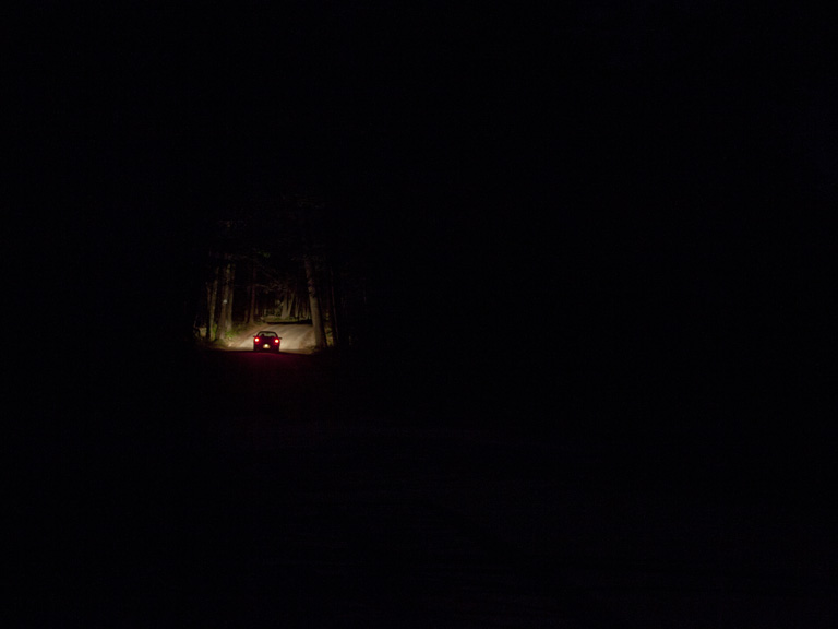road in woods at night